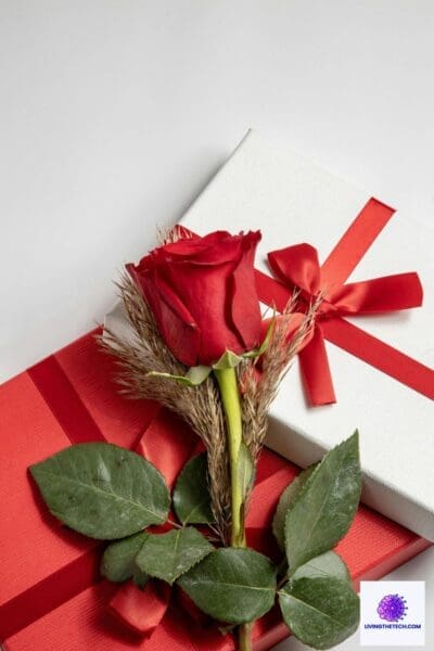 Unique gift ideas for people who love golf, work remotely, or focus on wellbeing